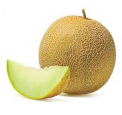 Kavun Kg