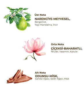 Eyüp Sabri Tuncer Roll-On Bayan Aktif 75ml