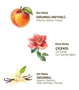 Eyüp Sabri Tuncer Roll-On Bayan Soft 75ml