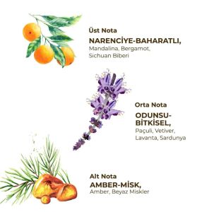 Eyüp Sabri Tuncer Roll-On Bay Sport 75ml