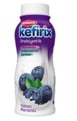 Altınkılıç Kefirix Yaban Mersini 250 Ml