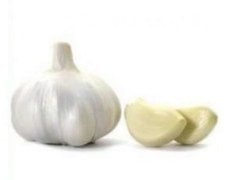 Sarımsak Kg