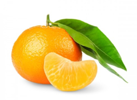Mandalina Dallı Kg