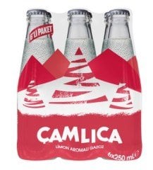 Çamlıca Gazoz 6X200 Ml